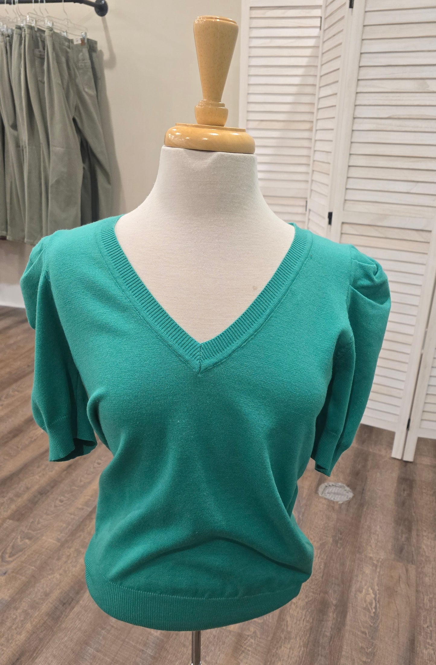 Sassy Puff Sleeve Shirt